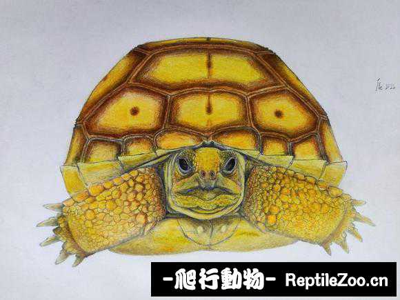 display_picture.php?url=http%3A%2F%2Ftiebapic.baidu.com%2Fforum%2Fw%253D580%2Fsign%3D4a7327e6ffa1cd1105b672288910c8b0%2Ffb5e3fa85edf8db179bcbfb24c23dd54574e7411.jpg