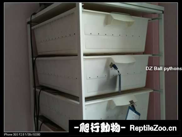 display_picture.php?url=http%3A%2F%2Fimgsa.baidu.com%2Fforum%2Fw%253D580%2Fsign%3D56217a96d9f9d72a17641015e42b282a%2Fd70e55b5c9ea15ce7abefea0b6003af33b87b2f8.jpg