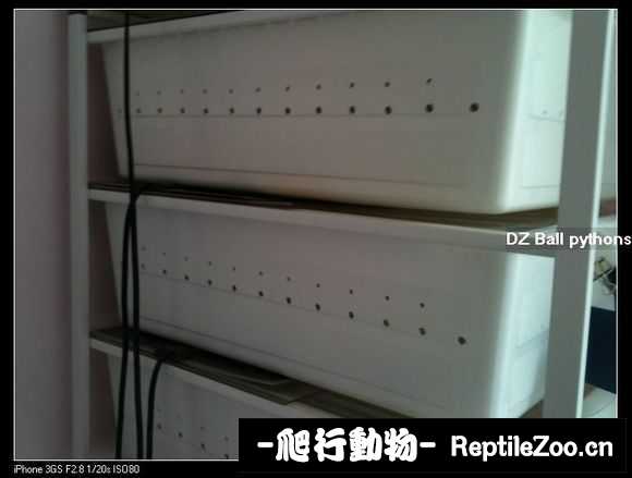 display_picture.php?url=http%3A%2F%2Fimgsa.baidu.com%2Fforum%2Fw%253D580%2Fsign%3De9ce24bd42a7d933bfa8e47b9d4ad194%2F563754afa40f4bfb1d9080fd034f78f0f6361888.jpg