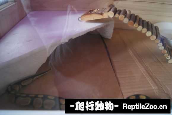 display_picture.php?url=http%3A%2F%2Fimgsa.baidu.com%2Fforum%2Fw%253D580%2Fsign%3D03b6a0704b36acaf59e096f44cd88d03%2Fed342f3fb80e7bec9cbee0a82f2eb9389a506bcd.jpg