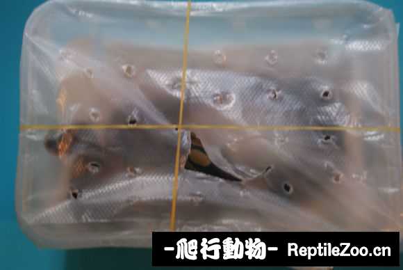 display_picture.php?url=http%3A%2F%2Fimgsa.baidu.com%2Fforum%2Fw%253D580%2Fsign%3Da2f872bb7d1ed21b79c92eed9d6fddae%2F55fe37dbb6fd5266f57adf5dab18972bd50736df.jpg