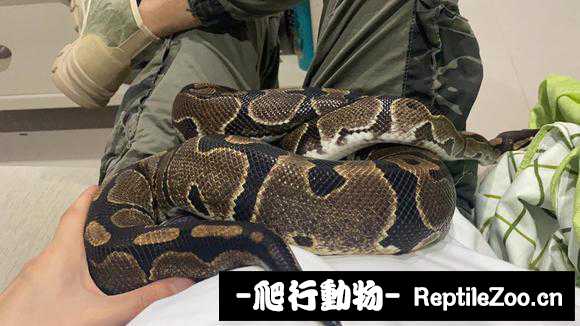 display_picture.php?url=http%3A%2F%2Ftiebapic.baidu.com%2Fforum%2Fw%253D580%2Fsign%3D762ef0734f7b02080cc93fe952d8f25f%2Fc5eaa7ec8a1363277af81ae5d48fa0ec09fac781.jpg