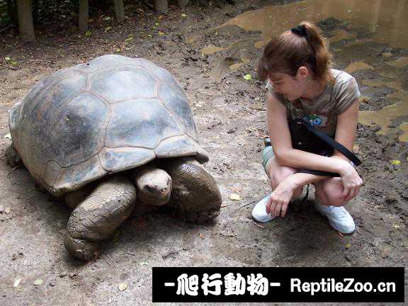display_picture.php?url=http%3A%2F%2Fimgsa.baidu.com%2Fforum%2Fw%253D580%2Fsign%3D9b9cb441ab18972ba33a00c2d6cc7b9d%2F97702e1f95cad1c8ec0c74727f3e6709c83d51ea.jpg