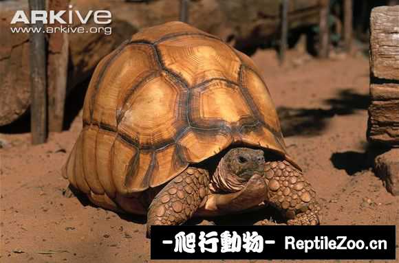 display_picture.php?url=http%3A%2F%2Fimgsa.baidu.com%2Fforum%2Fw%253D580%2Fsign%3D8691757649540923aa696376a258d1dc%2F89e3a8cc7cd98d100ac98764213fb80e7bec9000.jpg