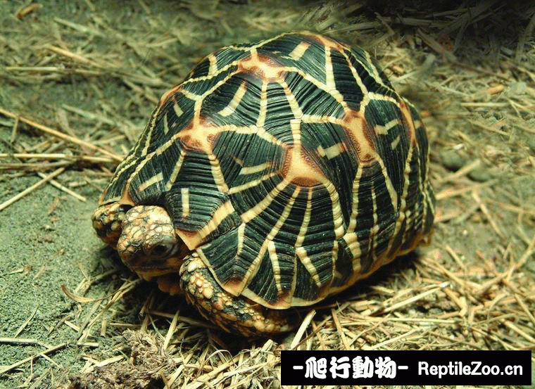 display_picture.php?url=http%3A%2F%2Fimgsa.baidu.com%2Fforum%2Fw%253D580%2Fsign%3D9ff402545c6034a829e2b889fb1249d9%2F9693c0ef76094b36aa7e90b8a3cc7cd98c109db1.jpg