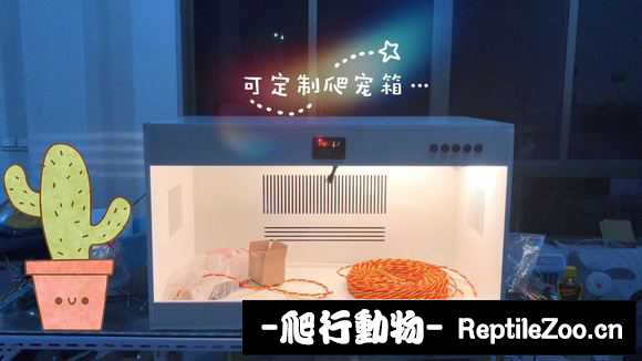 225005womy30f9u52m7999.jpg