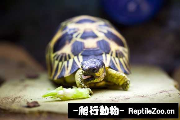 display_picture.php?url=http%3A%2F%2Fimgsa.baidu.com%2Fforum%2Fw%253D580%2Fsign%3D383715878044ebf86d716437e9f8d736%2F27ede4a1cd11728b1447a0a6cffcc3cec2fd2c3d.jpg