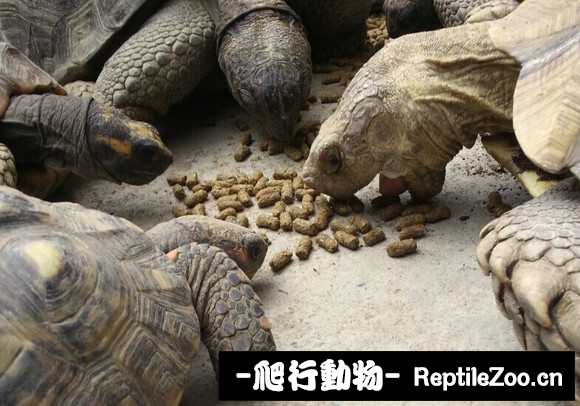 display_picture.php?url=http%3A%2F%2Fimgsa.baidu.com%2Fforum%2Fw%253D580%2Fsign%3Db134e759ac64034f0fcdc20e9fc27980%2F5bd90782b2b7d0a2f63b2d19ccef760949369ab6.jpg