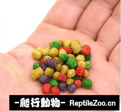 display_picture.php?url=http%3A%2F%2Fimgsa.baidu.com%2Fforum%2Fw%253D580%2Fsign%3D1935f04dd02a60595210e1121835342d%2F4fff96fcc3cec3fdb439bbf1d188d43f86942718.jpg