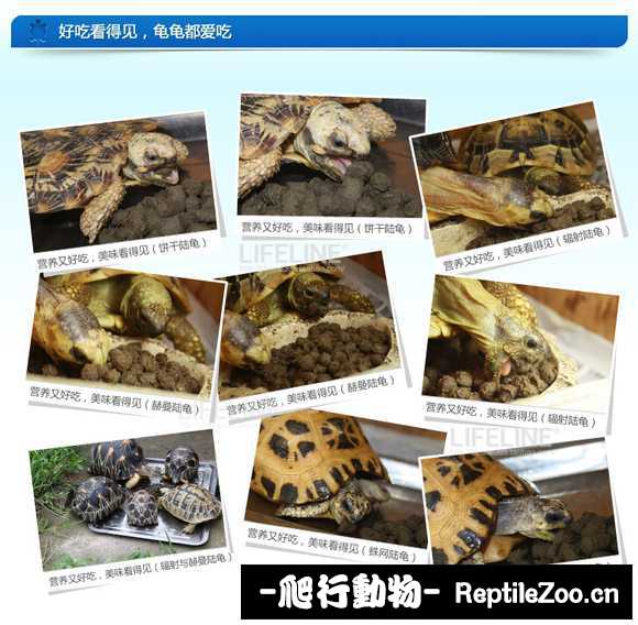 display_picture.php?url=http%3A%2F%2Fimgsa.baidu.com%2Fforum%2Fw%253D580%2Fsign%3D7e2e9c4f44166d223877159c76220945%2F7466f81ea8d3fd1f6ae1b9be374e251f97ca5fb3.jpg