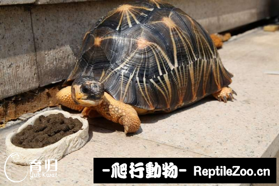 display_picture.php?url=http%3A%2F%2Fimgsa.baidu.com%2Fforum%2Fw%253D580%2Fsign%3D7f492f210d7b02080cc93fe952d8f25f%2F4adc026034a85edf9cfef9a74e540923dc547535.jpg
