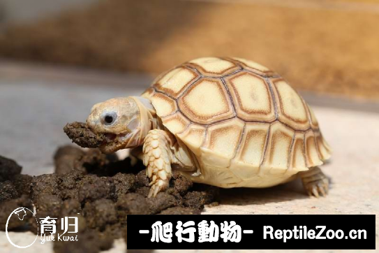 display_picture.php?url=http%3A%2F%2Fimgsa.baidu.com%2Fforum%2Fw%253D580%2Fsign%3D5c475cb21a950a7b75354ecc3ad0625c%2F6fc8e2315c6034a84e90bf05cc13495408237635.jpg