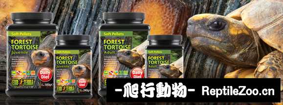 display_picture.php?url=http%3A%2F%2Fimgsa.baidu.com%2Fforum%2Fw%253D580%2Fsign%3Dc206a265082442a7ae0efdade142ad95%2F30b14e385343fbf2ee463ec5b77eca8067388fd8.jpg