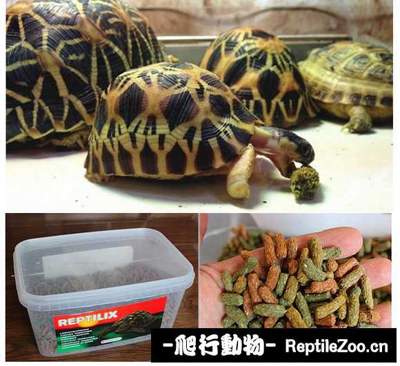 display_picture.php?url=http%3A%2F%2Fimgsa.baidu.com%2Fforum%2Fw%253D580%2Fsign%3Db1277edad30735fa91f04eb1ae500f9f%2F23d4e8003af33a87f36fdcdbc15c10385143b5db.jpg