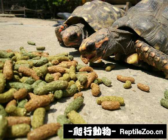 display_picture.php?url=http%3A%2F%2Fimgsa.baidu.com%2Fforum%2Fw%253D580%2Fsign%3D101b42e9902bd40742c7d3f54b889e9c%2Fc03e8b39b6003af323b800a1322ac65c1238b6db.jpg