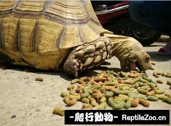 display_picture.php?url=http%3A%2F%2Fimgsa.baidu.com%2Fforum%2Fw%253D580%2Fsign%3Dc829e0d5ac18972ba33a00c2d6cc7b9d%2Fe32368d3d539b60022ccd376ee50352ac45cb7db.jpg