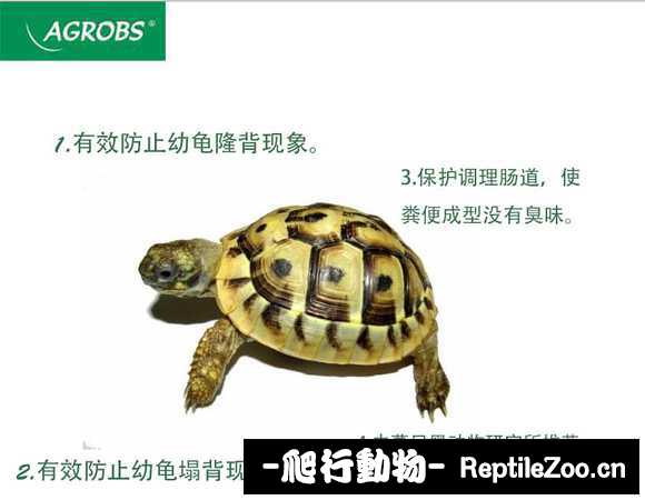 display_picture.php?url=http%3A%2F%2Fimgsa.baidu.com%2Fforum%2Fw%253D580%2Fsign%3D99d4d9dfbe389b5038ffe05ab534e5f1%2F1d29e94543a9822660f9e8e68d82b9014b90eb22.jpg