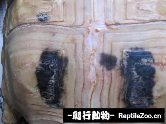 display_picture.php?url=http%3A%2F%2Fimgsa.baidu.com%2Fforum%2Fw%253D580%2Fsign%3Da4d16dec304e251fe2f7e4f09784c9c2%2F69259616fdfaaf51163b4e698c5494eef21f7acf.jpg