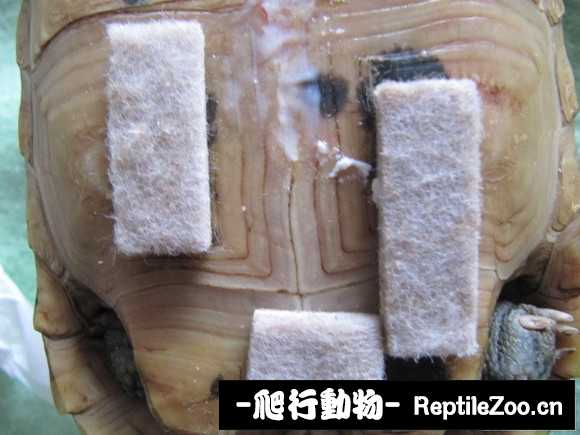 display_picture.php?url=http%3A%2F%2Fimgsa.baidu.com%2Fforum%2Fw%253D580%2Fsign%3Dd5e576f601e9390156028d364bed54f9%2F73142334349b033bf289320c15ce36d3d439bda6.jpg