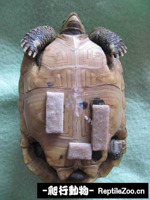 display_picture.php?url=http%3A%2F%2Fimgsa.baidu.com%2Fforum%2Fw%253D580%2Fsign%3Dd7abdff995cad1c8d0bbfc2f4f3c67c4%2F5ac4a451f3deb48f6bb16e08f01f3a292ff578cf.jpg