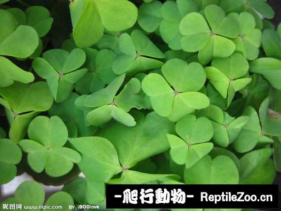 display_picture.php?url=http%3A%2F%2Fimgsa.baidu.com%2Fforum%2Fw%253D580%2Fsign%3D869172956b600c33f079dec02a4e5134%2Fc93816950a7b020896068e6062d9f2d3562cc827.jpg