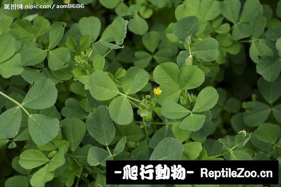 display_picture.php?url=http%3A%2F%2Fimgsa.baidu.com%2Fforum%2Fw%253D580%2Fsign%3D7dd0f6bf0cf3d7ca0cf63f7ec21dbe3c%2F39110c0828381f300cd63c28a9014c086f06f027.jpg