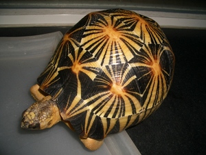 display_picture.php?url=http%3A%2F%2Fimgsa.baidu.com%2Fforum%2Fw%253D580%2Fsign%3D55e31a4cb80e7bec23da03e91f2fb9fa%2Fa40550b5c9ea15ce5a31ee4ab6003af33b87b250.jpg