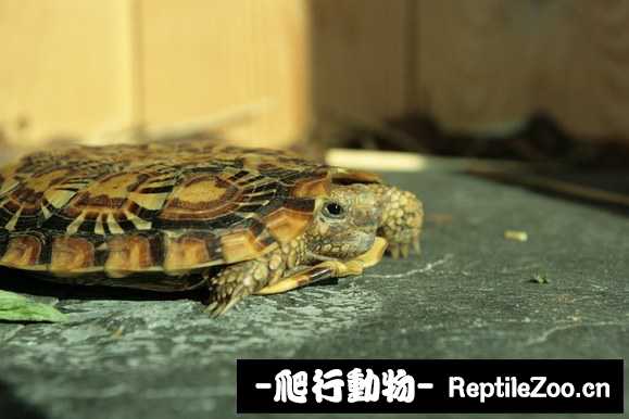 display_picture.php?url=http%3A%2F%2Fimgsa.baidu.com%2Fforum%2Fw%253D580%2Fsign%3D10d994b079310a55c424defc87444387%2F20aaafc27d1ed21be91b20a6ad6eddc450da3f65.jpg