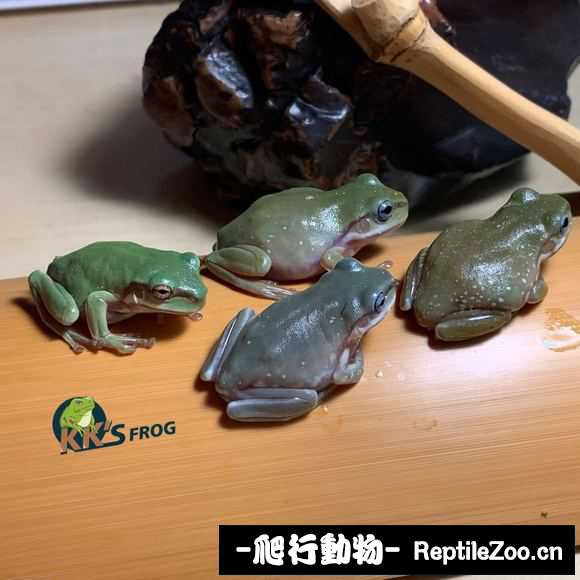 display_picture.php?url=http%3A%2F%2Ftiebapic.baidu.com%2Fforum%2Fw%253D580%2Fsign%3D19b53263868fa0ec7fc764051696594a%2F9c3fcb1001e939015a5a7d6e6cec54e737d19669.jpg