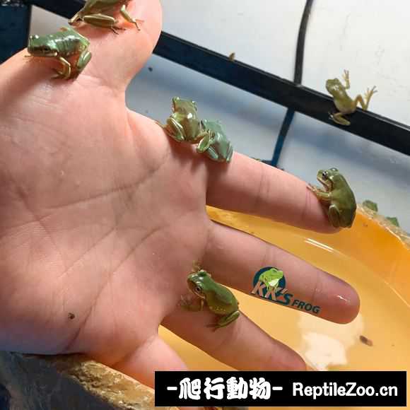 display_picture.php?url=http%3A%2F%2Ftiebapic.baidu.com%2Fforum%2Fw%253D580%2Fsign%3D791215761e24ab18e016e13f05fbe69a%2F490acc13632762d0dc7754efb7ec08fa503dc678.jpg