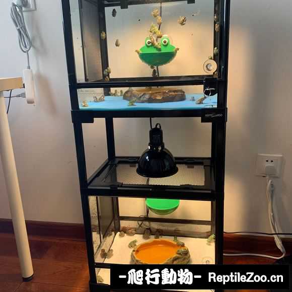 display_picture.php?url=http%3A%2F%2Ftiebapic.baidu.com%2Fforum%2Fw%253D580%2Fsign%3Ded14668c1ffa513d51aa6cd60d6c554c%2Fe10f7f01213fb80e0777928721d12f2eb8389427.jpg
