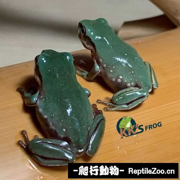display_picture.php?url=http%3A%2F%2Ftiebapic.baidu.com%2Fforum%2Fw%253D580%2Fsign%3Db613f1c849df8db1bc2e7c6c3922dddb%2Fa2419f33c895d1434738147364f082025baf077f.jpg