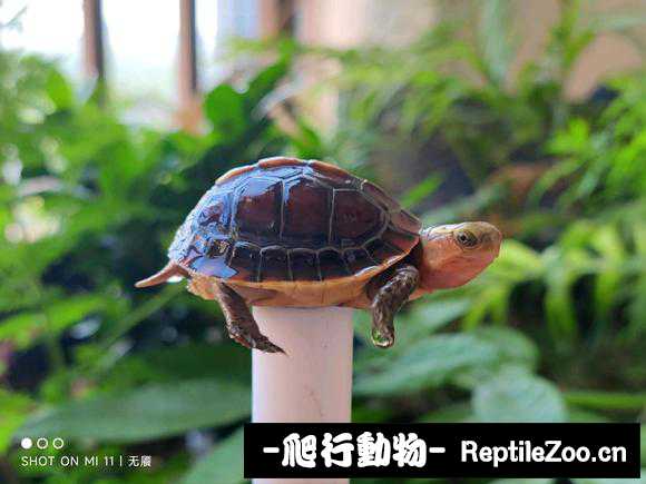 023723zi4i44epp9q2ei9p.jpg