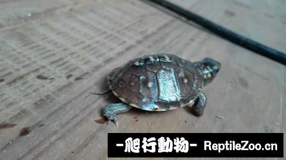 024007lckk9ck969782kvf.jpg
