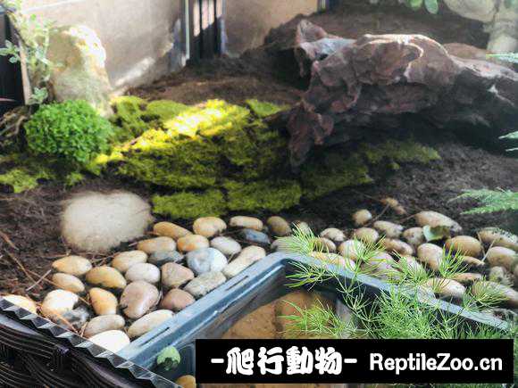 060512aozyw9zz1b213992.jpg