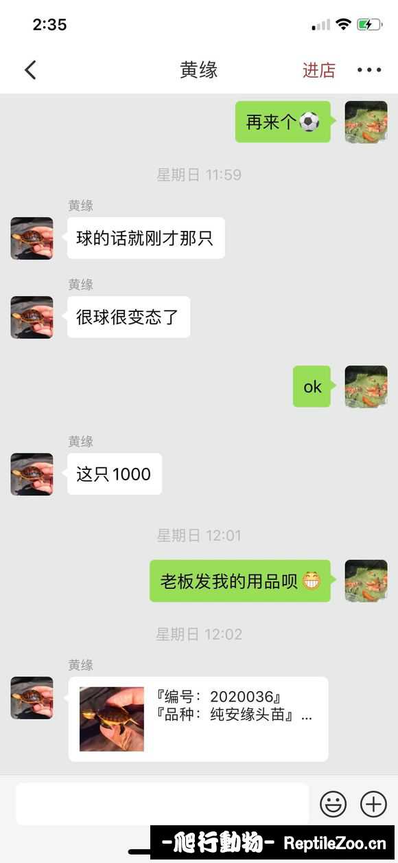 224501vatuoap6ibp8omh8.jpg