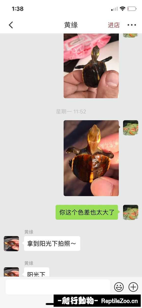 224504ng1wweiqj6ww5gfw.jpg