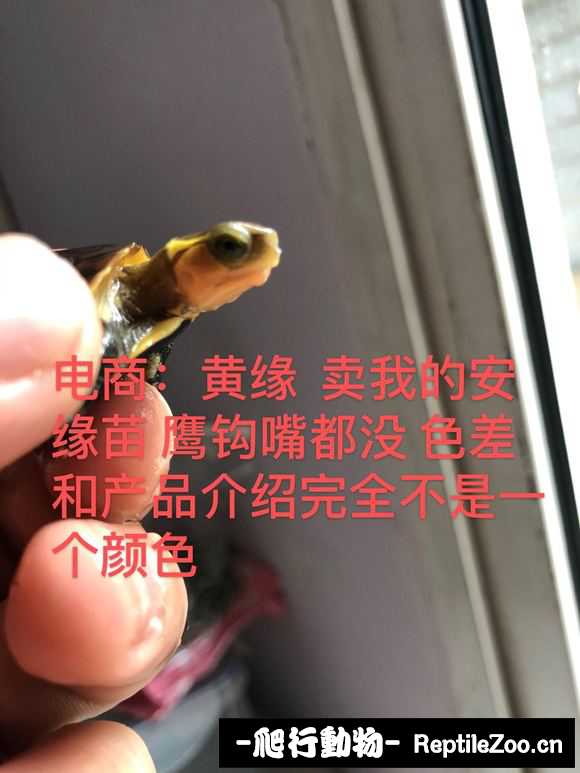 224507ao04vc4y0toofzoo.jpg