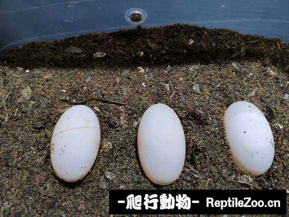 224831iohd04obp790bo7p.jpg