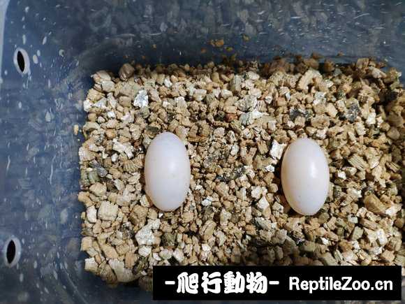 224836rhmxha45izinrmav.jpg