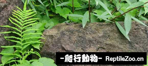 230621a063693d49qdk799.jpg