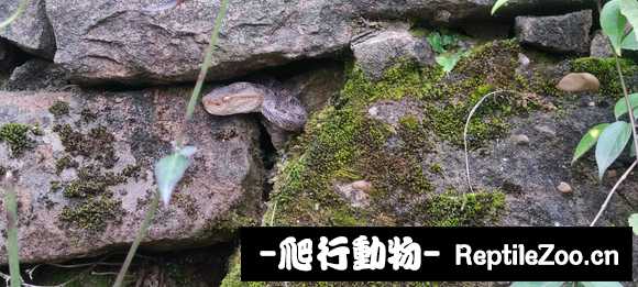 230622ejcwwwjlllwjwbzk.jpg