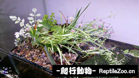 231648qcq4tv8bbuyqr244.jpg