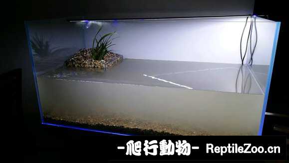 231650jw0fx2f3t0mk3d0k.jpg