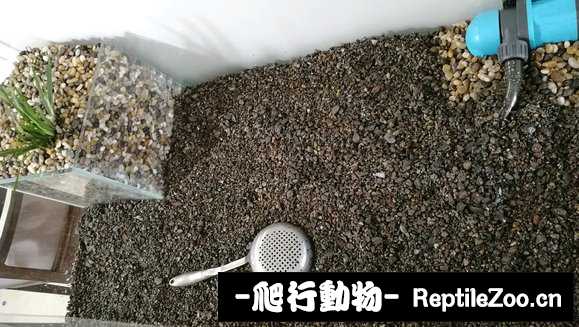 231650otcm0fj1rjfr145u.jpg