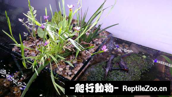231651q087boyql8rffpez.jpg