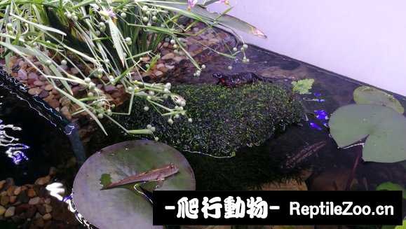 231654l9hkgm2rk8tkkei9.jpg