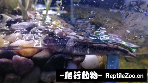 231657cafisd7dt5zatd5p.jpg