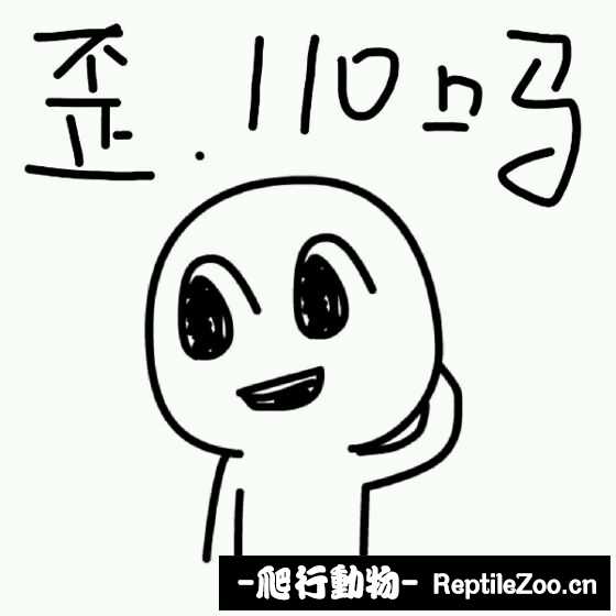 231713uuzemgoygmro6gmg.jpg