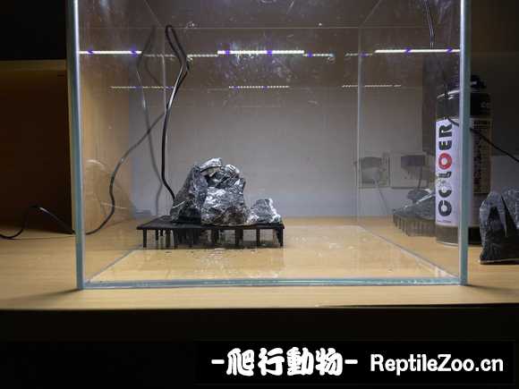 231720stzx4xa5ljze1xot.jpg